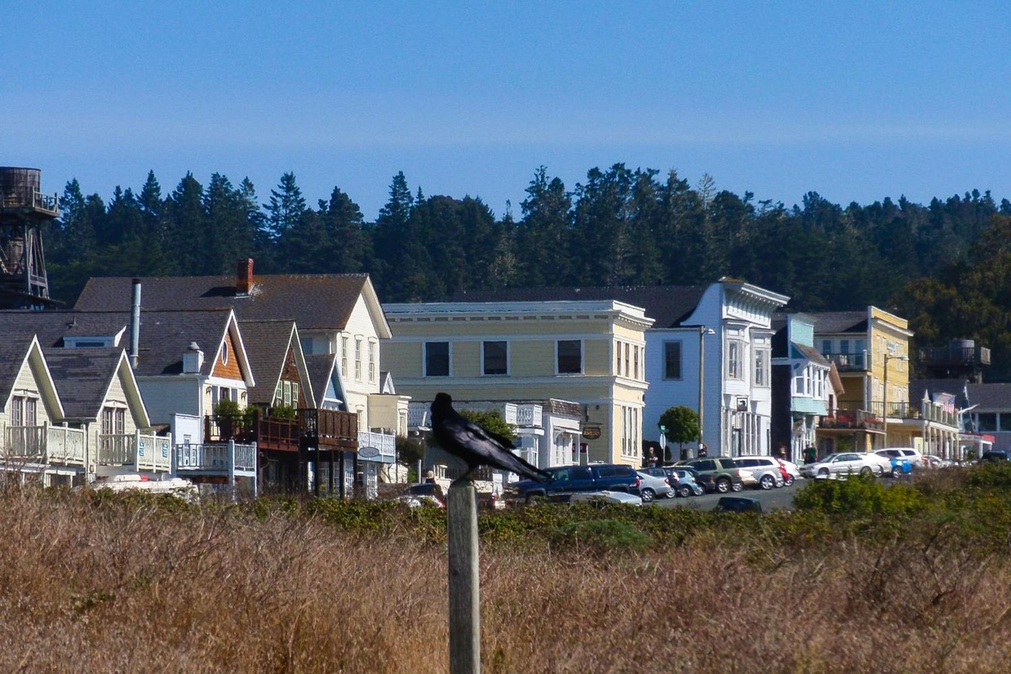 Mendocino Redwood Retreat - Vista Home Albion Exterior foto